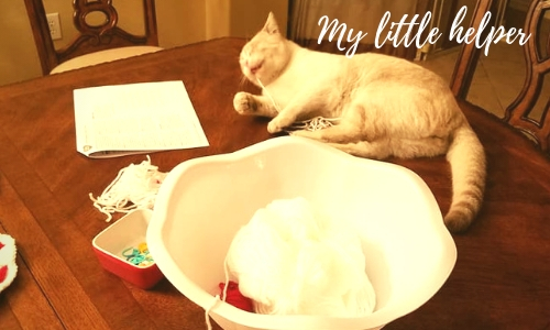 White cat playing with crochet yarn on table